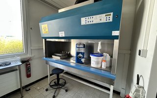 veilingLanden2