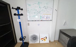 veilingRo2