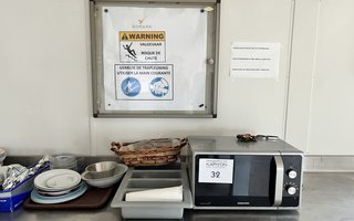veilingRo2