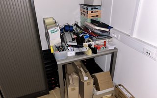 veilingRo2