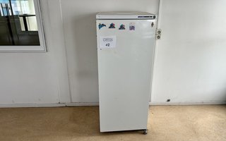 veilingRo2