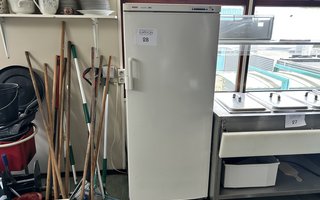 veilingRo2