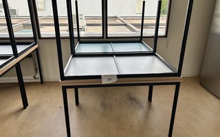 veilingRo2