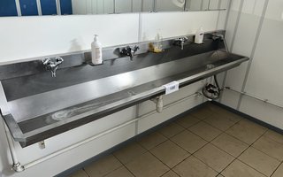 veilingRo2