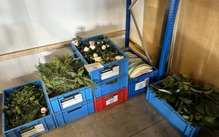 veilingMunicht