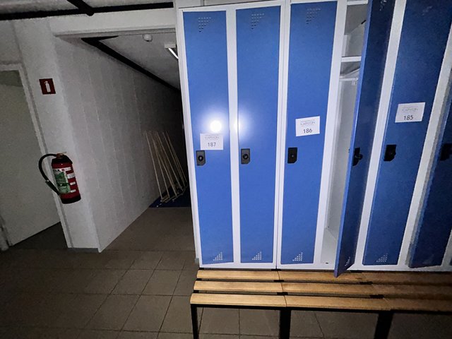 veilingRo2