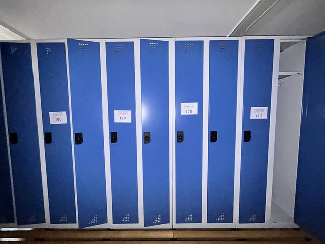 veilingRo2