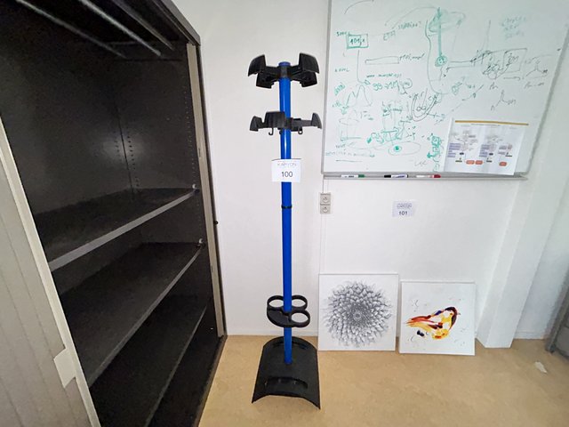 veilingRo2