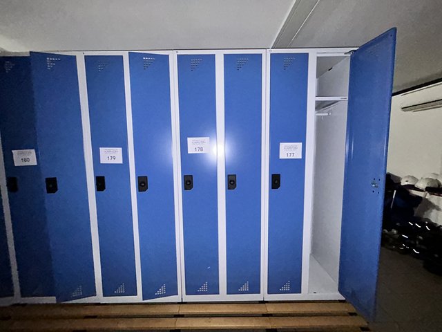 veilingRo2