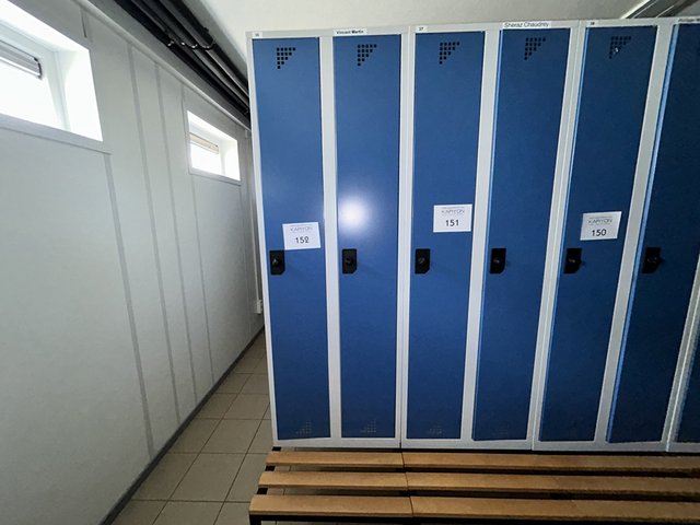 veilingRo2