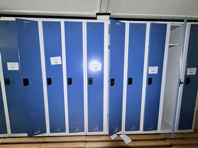 veilingRo2