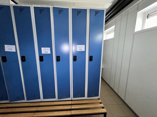 veilingRo2