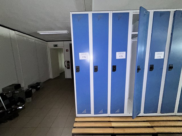 veilingRo2