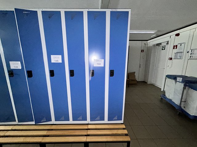 veilingRo2