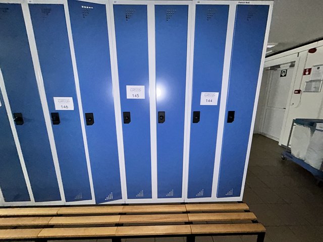 veilingRo2