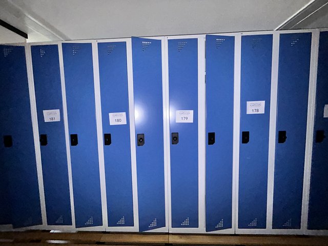 veilingRo2
