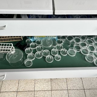 veilingLanden2